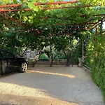Olive Apartmán Grebaštica